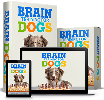 Brain Training For Dogs